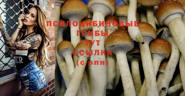 гашик Алзамай