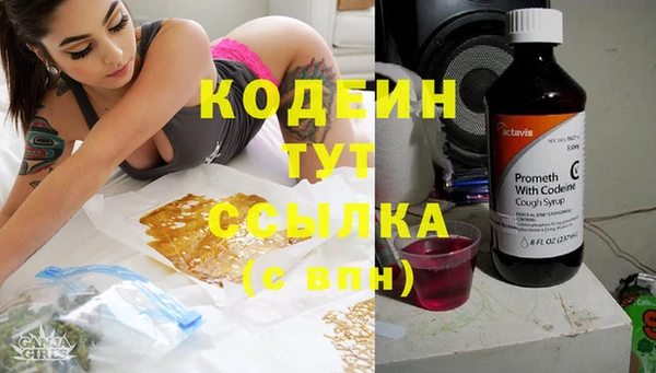 гашик Алзамай