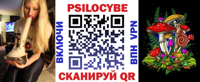 Галлюциногенные грибы мицелий  купить наркотик  Ставрополь 