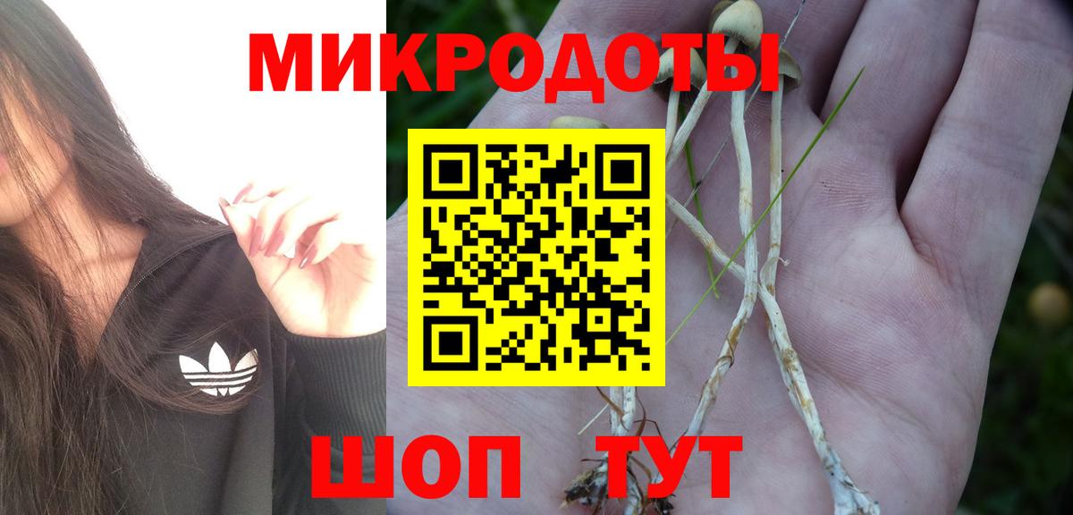 цены наркотик  Псилоцибиновые грибы ЛСД  Вход с VPN  Псилоцибиновые грибы мицелий  Ставрополь 